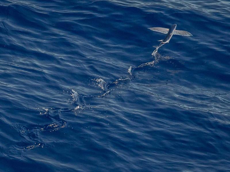 中东金主<br>迪拜资管与虚拟货币OTC
